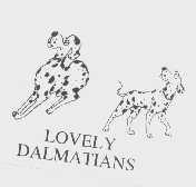 LOVELY DALMATIANS