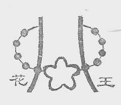 花王