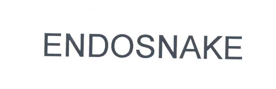 ENDOSNAKE