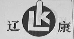 辽康