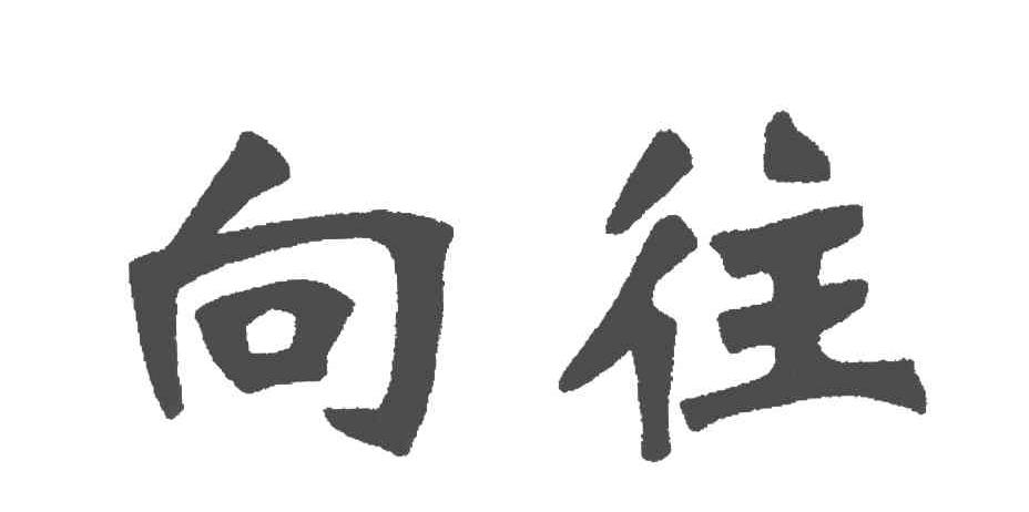 向往