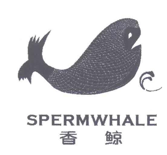 SPERMWHALE;香鲸及图形