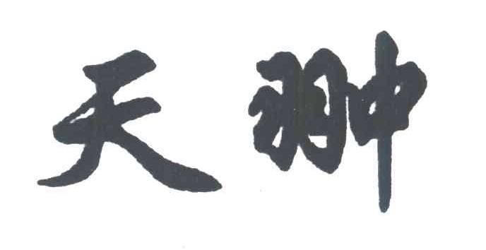 天翀