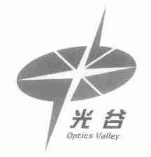 光谷;OPTICS VALLEY