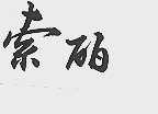 索丽