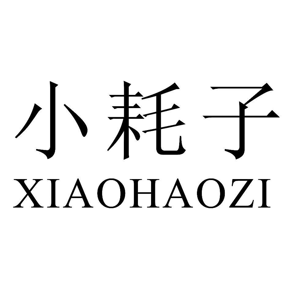 小耗子