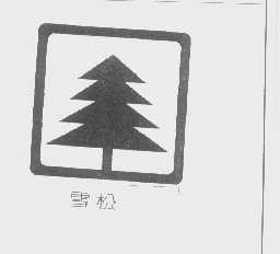 雪松