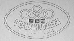 五环