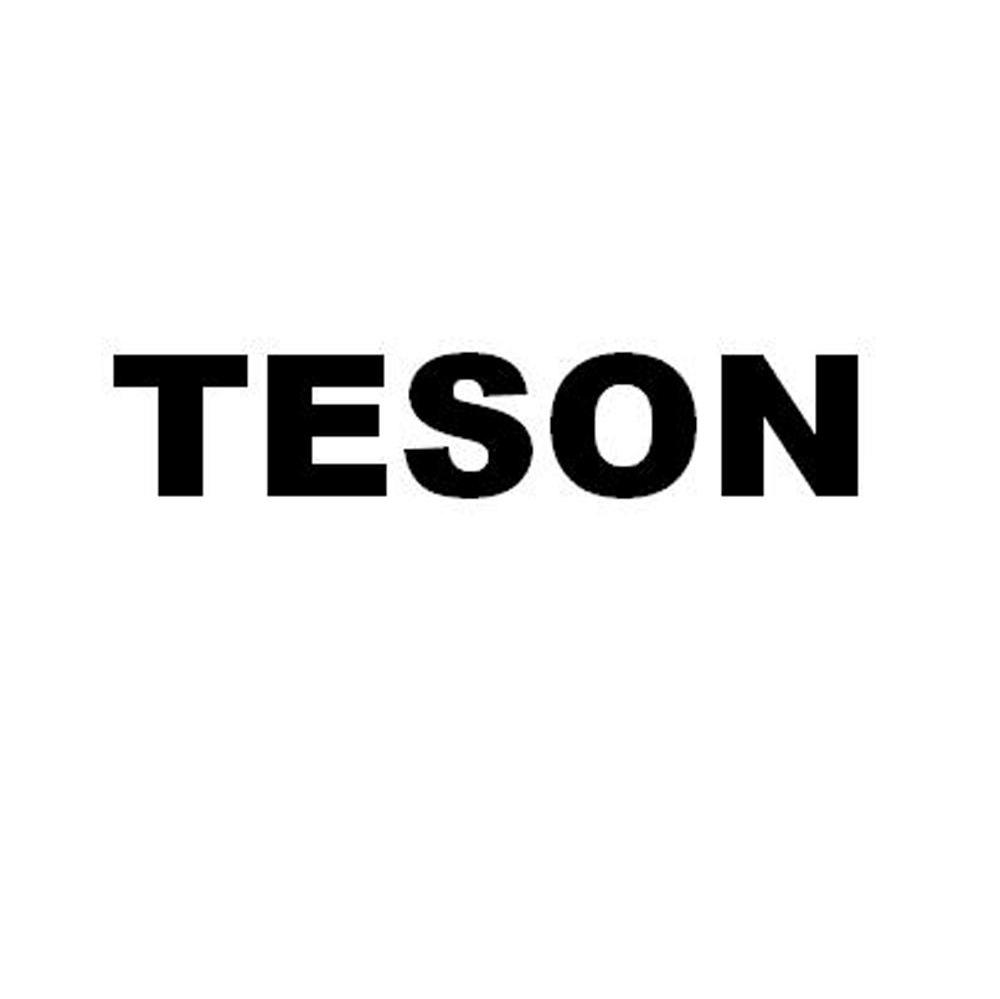 TESON