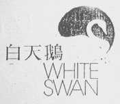 白天鹅    WHITE SWAN
