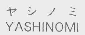 YASHINOMI