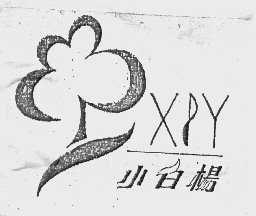 小白杨