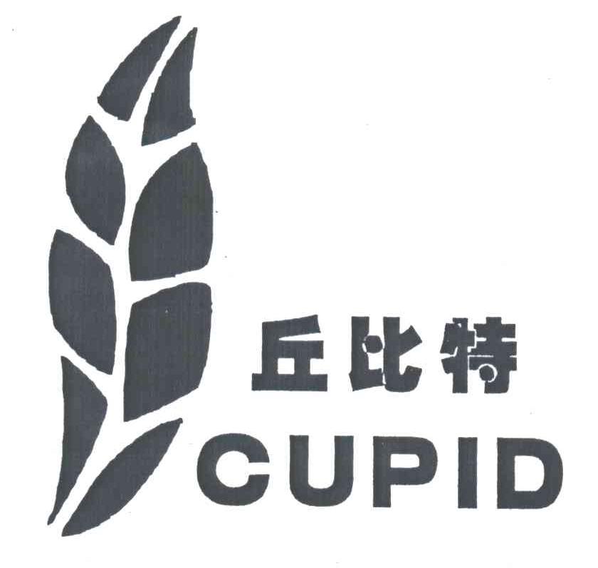 丘比特;CUPID