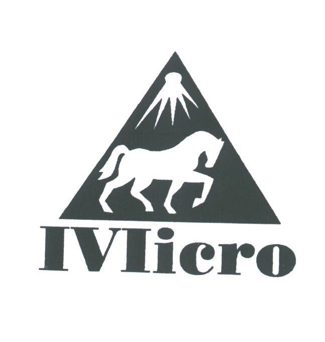 IVIICRO