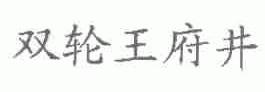 双轮王府井
