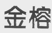 金榕