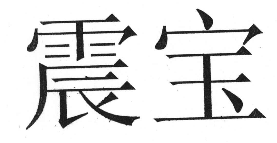 震宝
