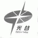 光谷;OPTICS VALLEY