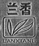 兰香