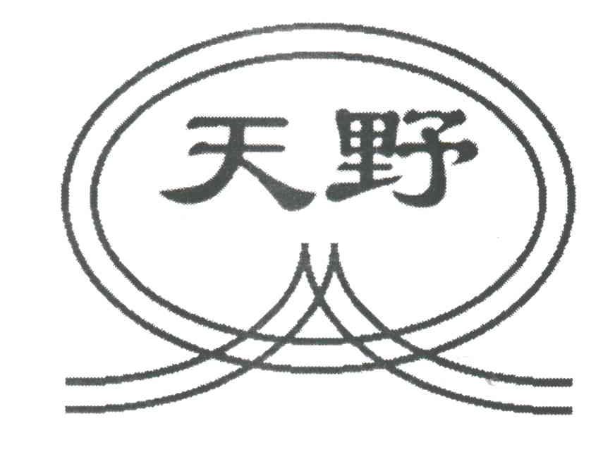天野