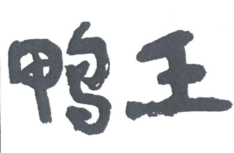 鸭王