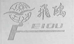 飞鸥