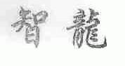智龙