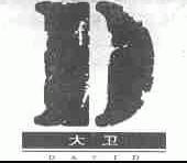 大卫;DAVID