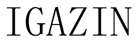 IGAZIN