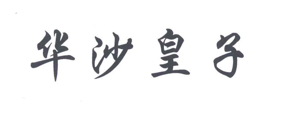 华沙皇子