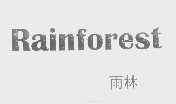 雨林   RAINFOREST