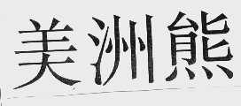 美洲熊
