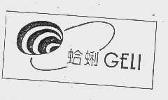 蛤蜊