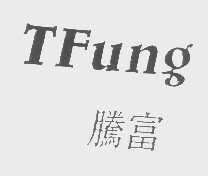 腾富   TFUNG