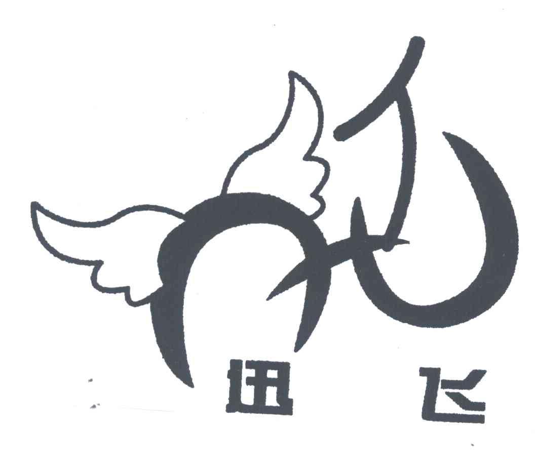 迅飞