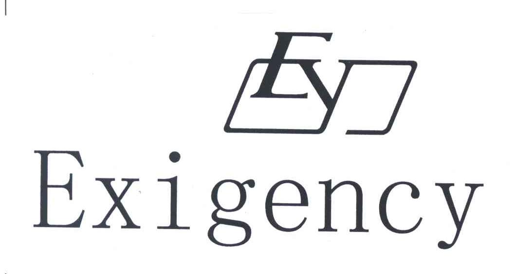 EXIGENGY;EY