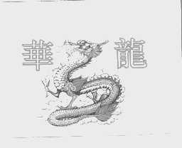 华龙