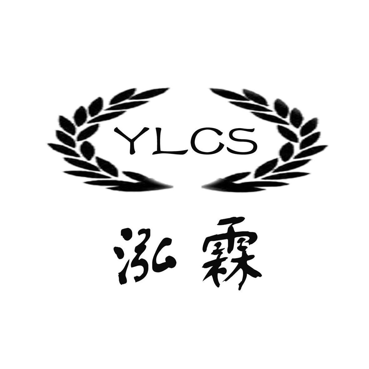 泓霖 YLCS