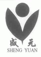 盛元