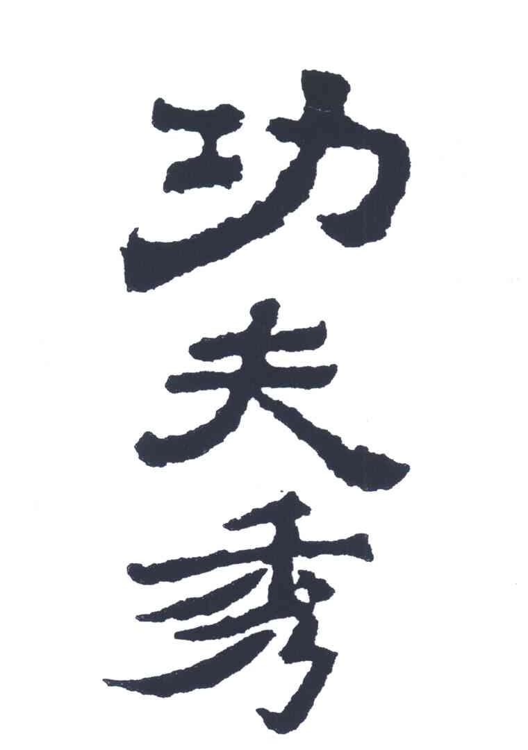 功夫秀