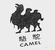 骆驼  CAMEL