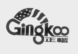 正楷   GINGKOO