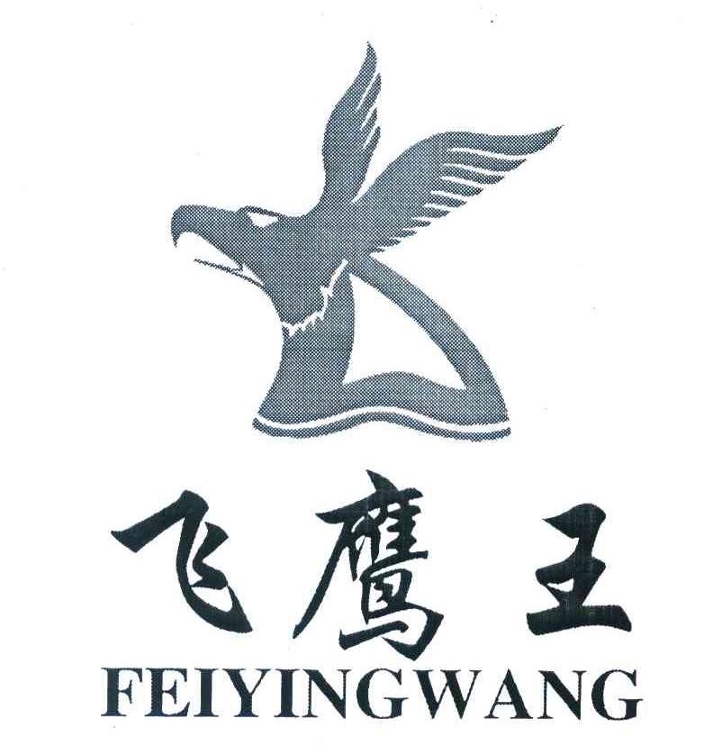 飞鹰王