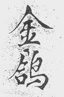 金鸽