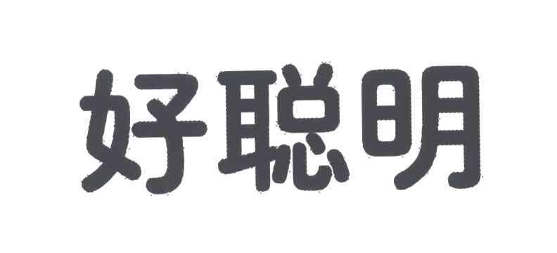 好聪明