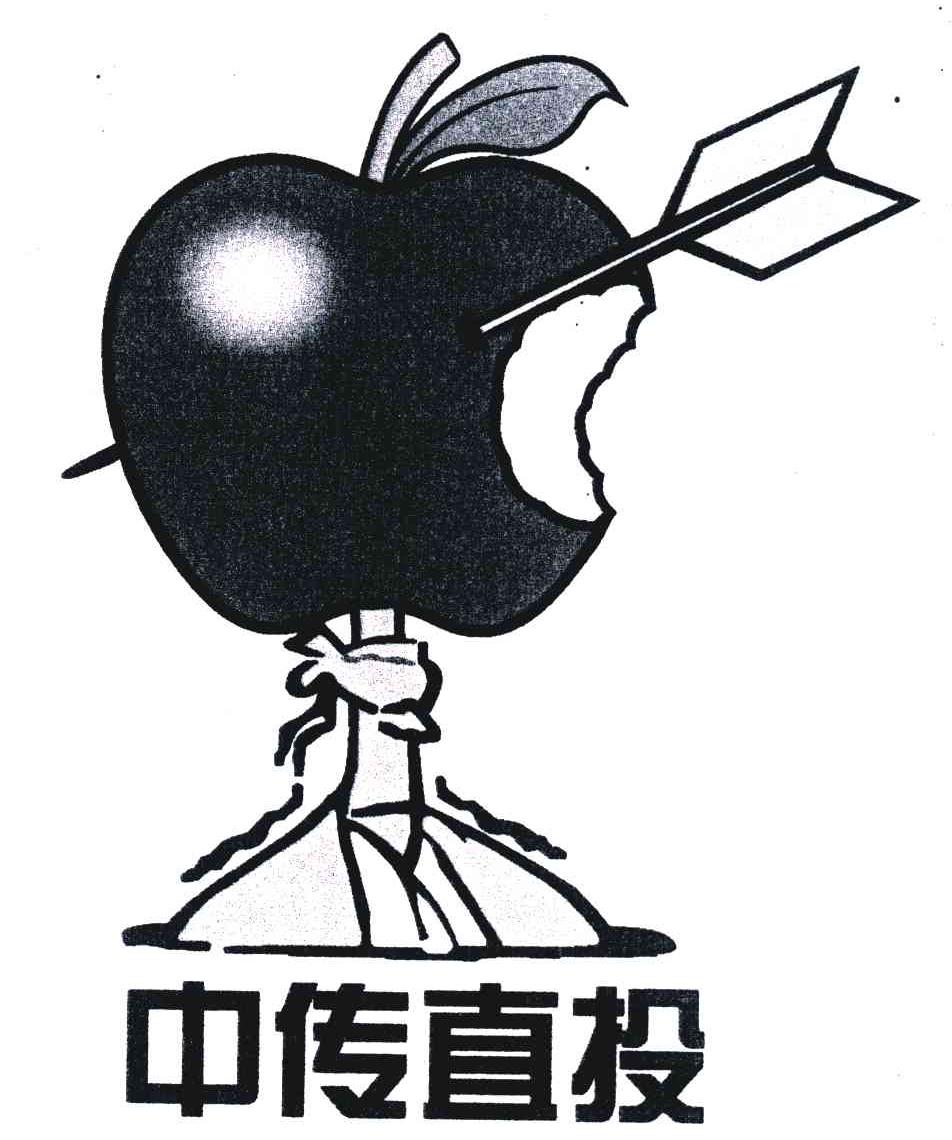 中传直投