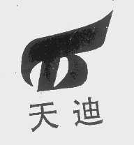 天迪