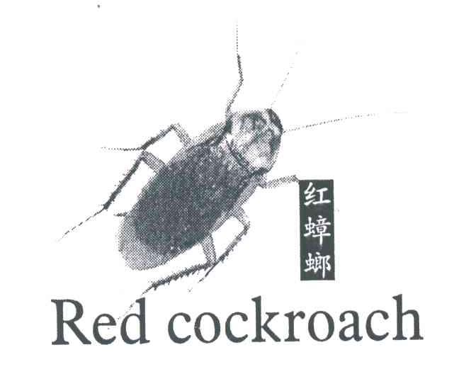 红蟑螂;RED COCKROACH