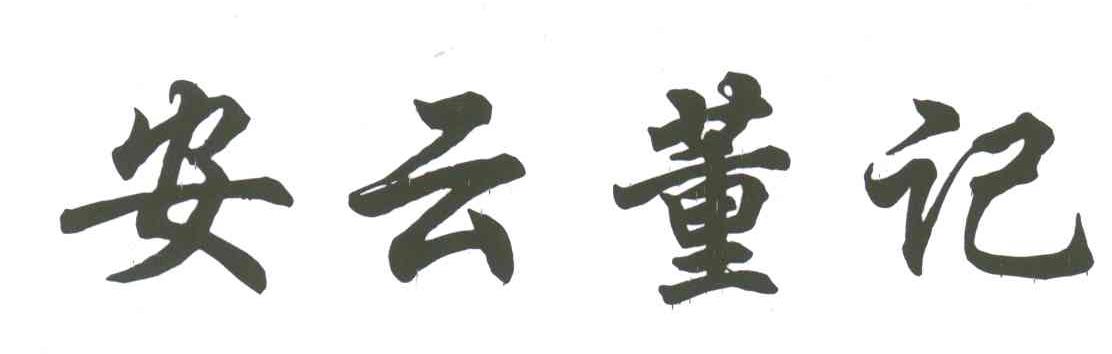 安云董记