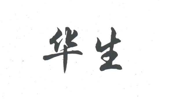 华生